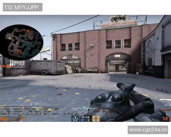 王丽专访:从新手到高手的CSGO成长之路与心路历程分享