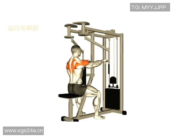 肩臂健身器材选择指南及训练动作详解